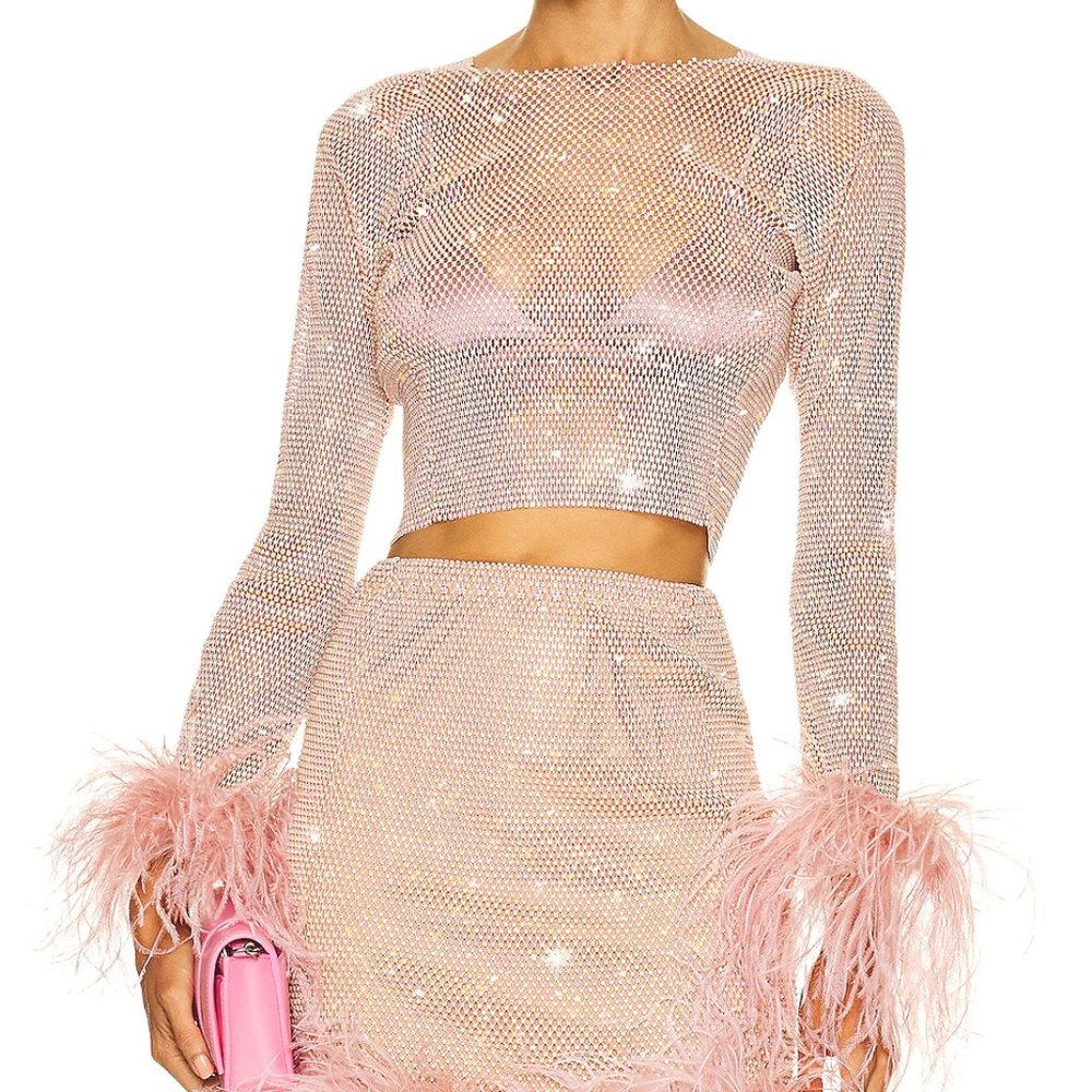 Santa Brands Feathers Crop Top in Blush - Pink Nude Mesh Long Sleeve XS / S